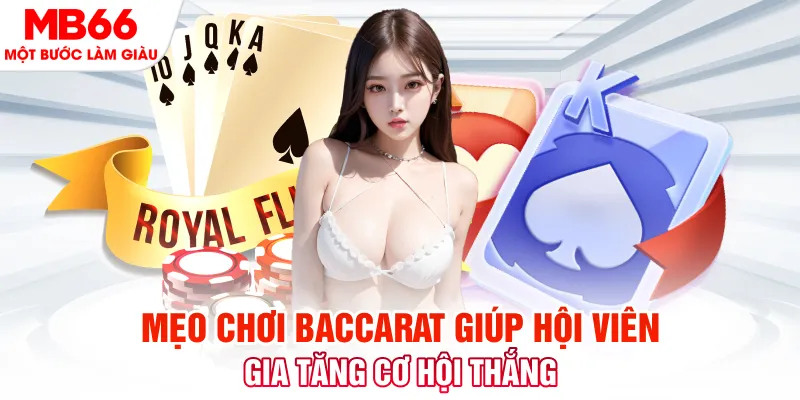 88cbl đá gà 88