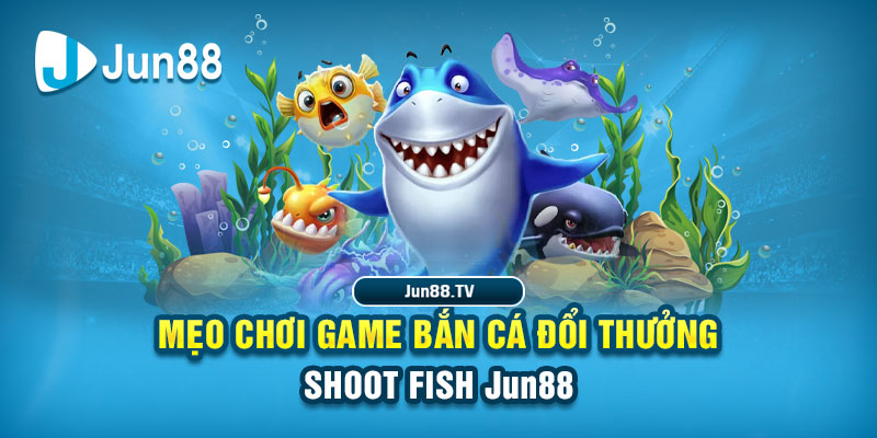 88cbl tai game danh bai bigkool ve may tinh