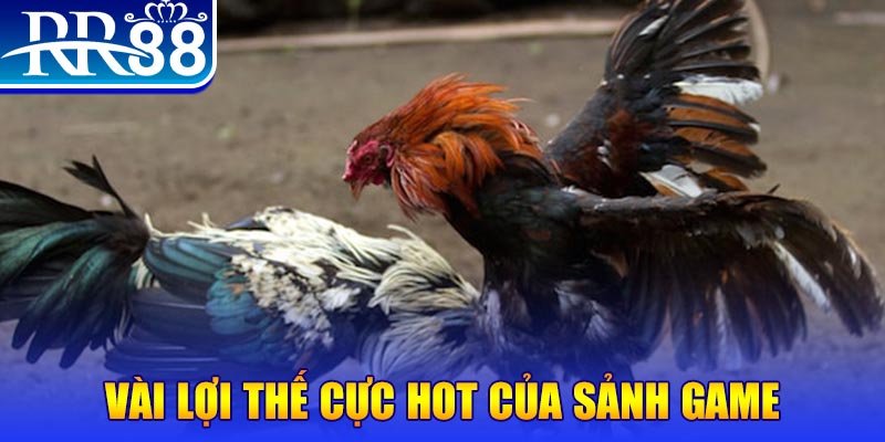 88cbl nổ hủ là trò gì