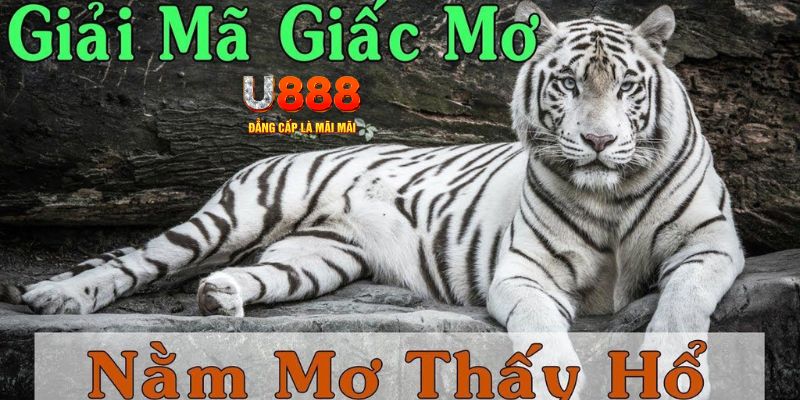 88cbl xổ số kiến thiết miền bắc