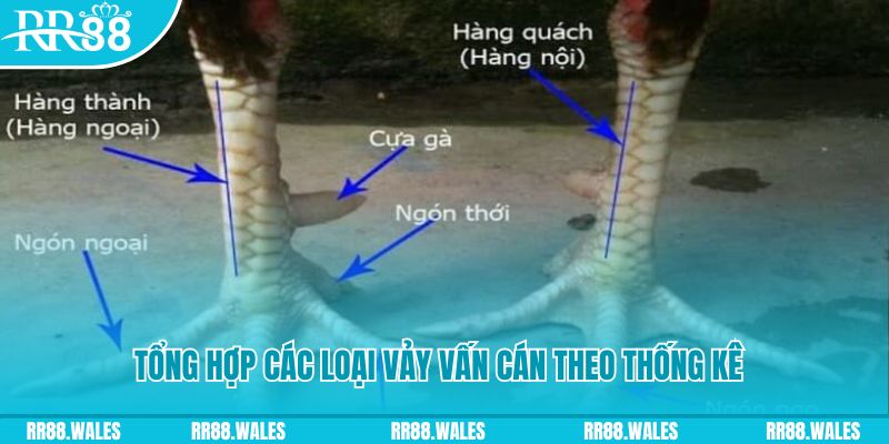 88cbl nổ hũ chơi như thế nào