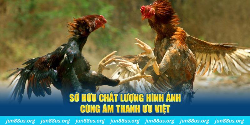 88cbl tai game danh bai ve may tinh