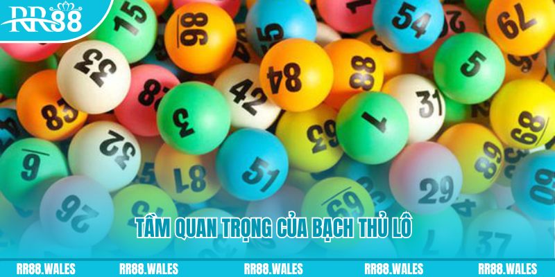 88cbl đá gà trực tiếp casino