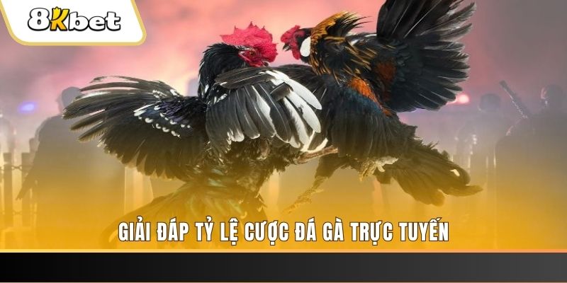88cbl xổ số ba đài