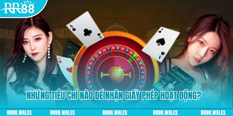 88cbl casino ở đâu