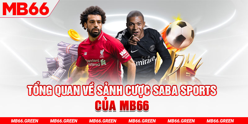 88cbl slot có nghĩa là gì