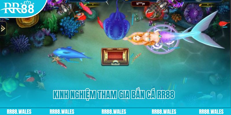 88cbl một slot là gì
