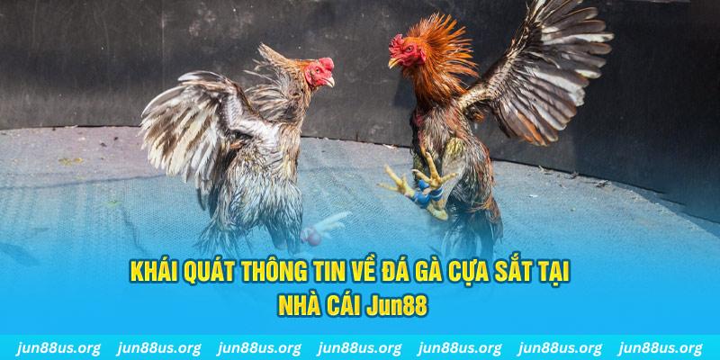 game bài trên máy tính