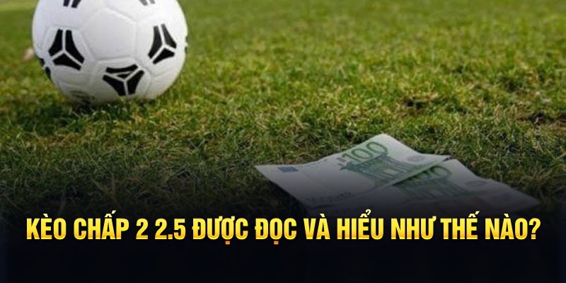 88cbl đá gà thomo
