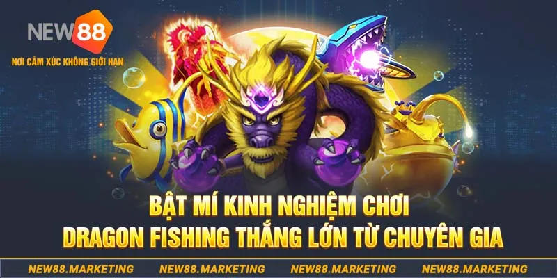 88cbl who wants to be a millionaire slot